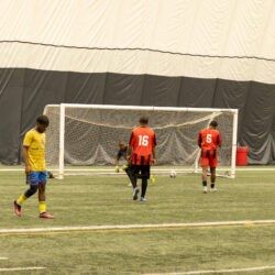 IMG-011